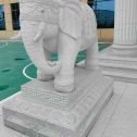 吉林省 白麻花岗岩动物异形石雕-大象